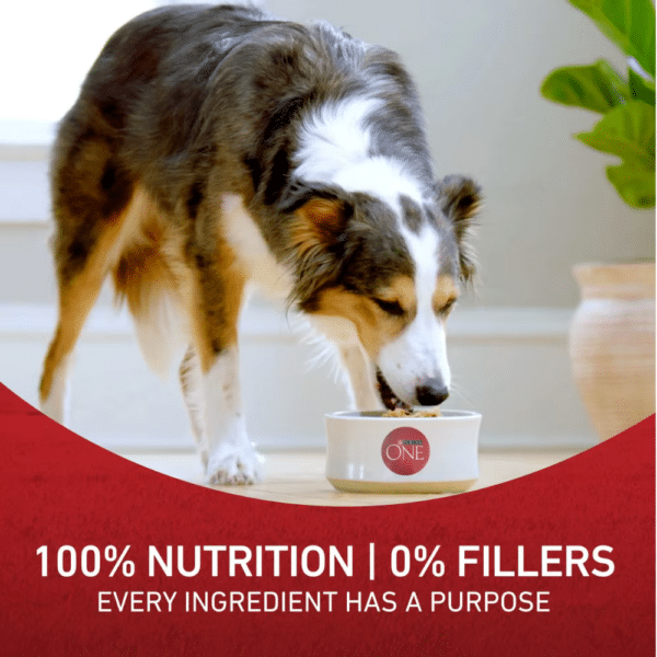 Purina One Chicken and Rice Dog Food Formula Nutrition