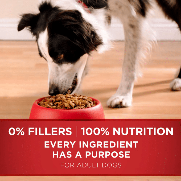 Purina One Lamb and Rice Dog Food Formula For Adult Dogs