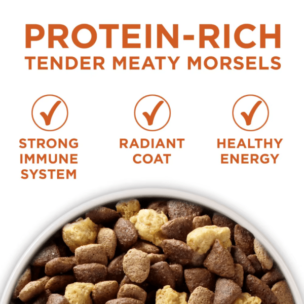 Purina One Plus Healthy Weight High-Protein Formula Proten-Rich Tender Meaty Morsels