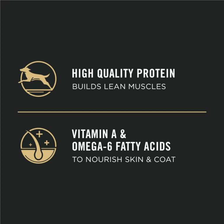 Purina Pro Plan Puppy Chicken and Rice Formula - High Quality Protein Vitamin A and Omega-6 Fatty Acids