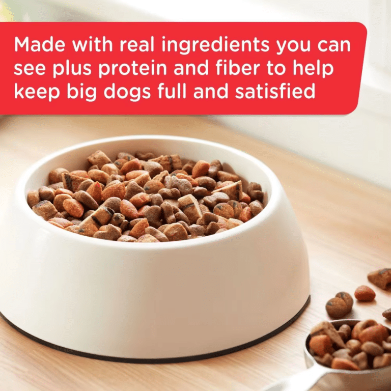 Rachael Ray Nutrish Big Life Packed with Protein and Fiber