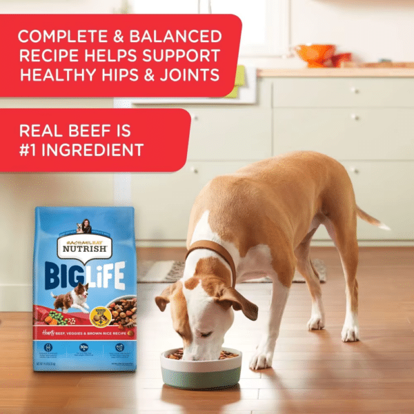 Rachael Ray Nutrish Big Life Real Beef Ingredient