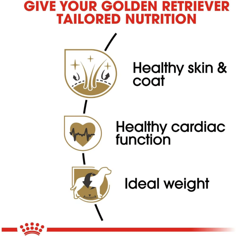 Royal Canin Golden Retriever Adult Dry Dog Food Tailored Nutrition